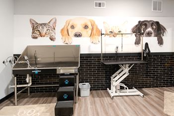 Pet Salon with Grooming & Washing Station